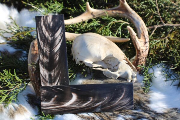 Black & White Horn Plates - Image 4