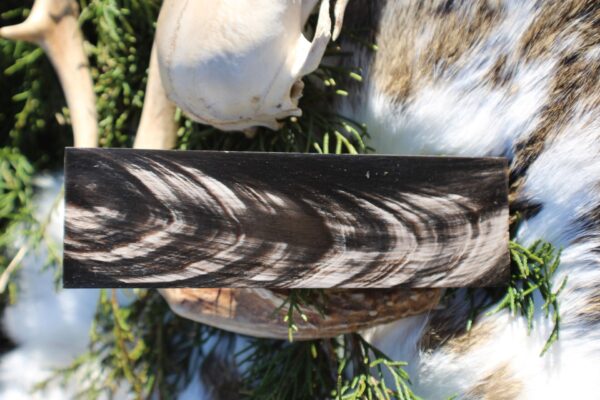 Black & White Horn Plates - Image 2